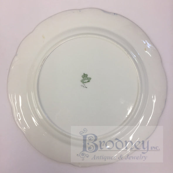 Set of 10 Aynsley Porcelain Plates